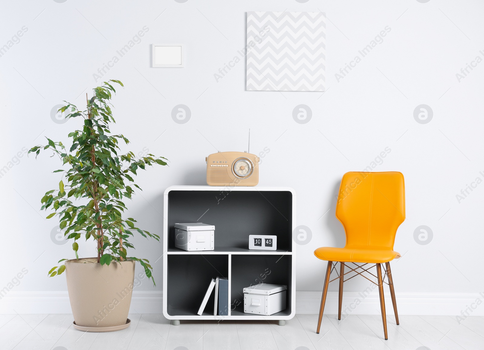 Photo of Stylish living room interior with chair and houseplant near white wall