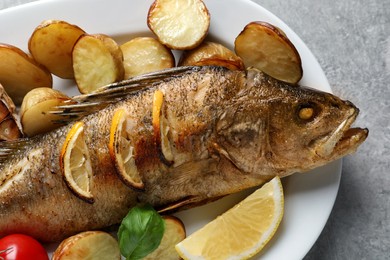 Photo of Tasty homemade roasted perch with garnish on grey table, closeup. River fish
