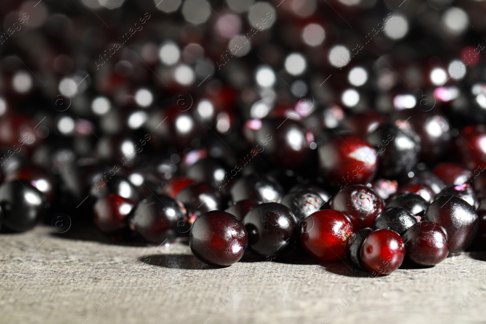 Photo of Many black elderberries (Sambucus) on grey table, closeup