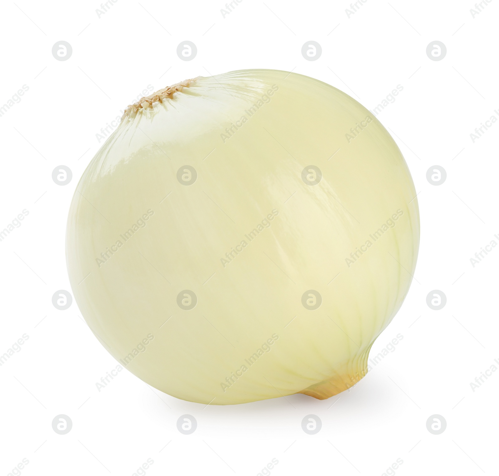 Photo of Fresh ripe onion bulb on white background