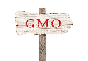 Image of Wooden sign with abbreviation GMO on white background