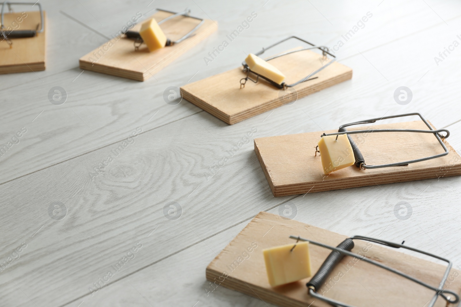 Photo of Mousetraps with pieces of cheese on white wooden background. Pest control