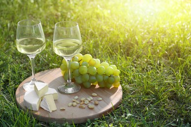 Photo of Two glasses of delicious white wine, grapes, cheese and nuts on green grass outdoors. Space for text