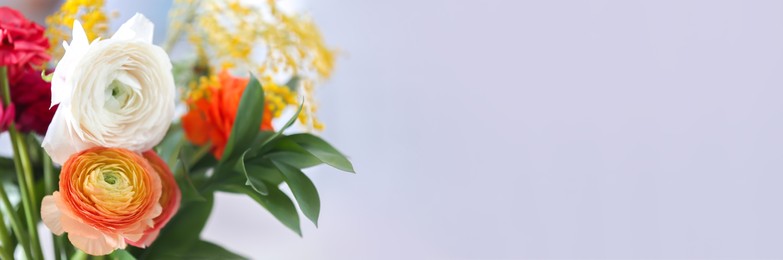 Beautiful ranunculus flowers on light background, closeup view with space for text. Banner design