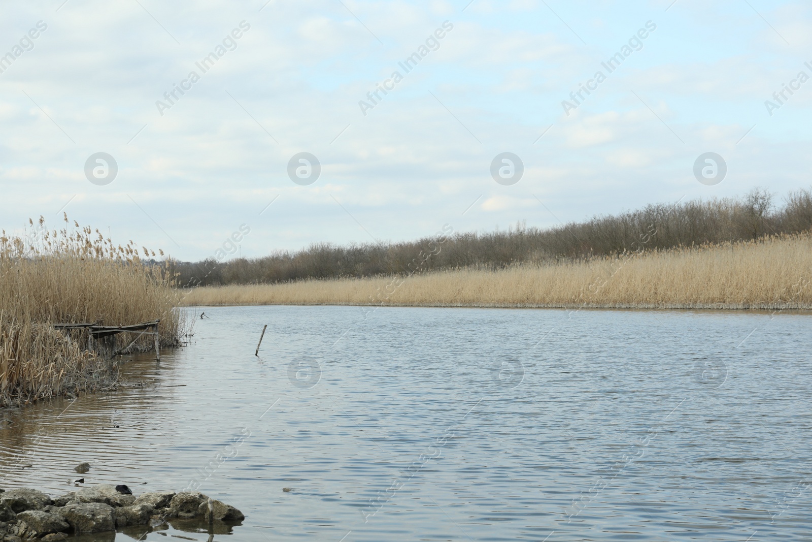 Photo of Picturesque view of river bank in countryside