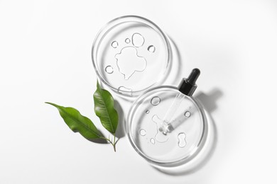 Petri dishes, leaves and pipette on white background, top view