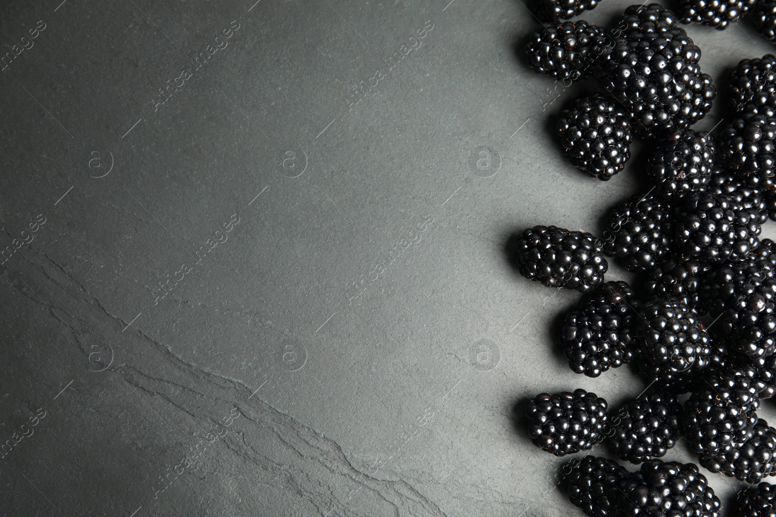 Photo of Tasty ripe blackberries on slate plate, top view with space for text