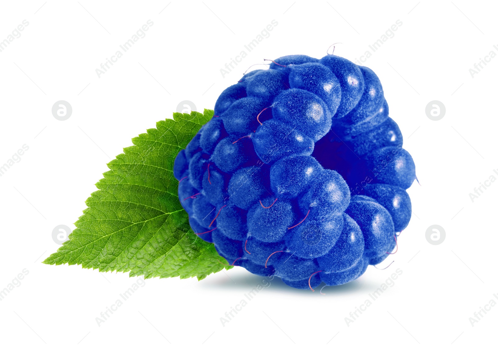 Image of Fresh blue raspberry and green leaf isolated on white