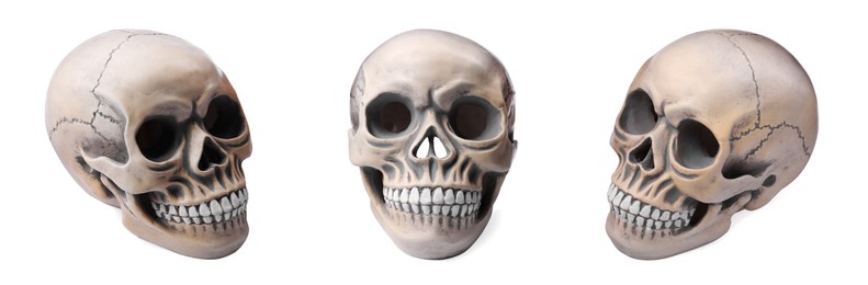 Set with models of human skull on white background. Banner design