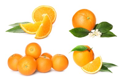 Image of Set with tasty ripe oranges on white background