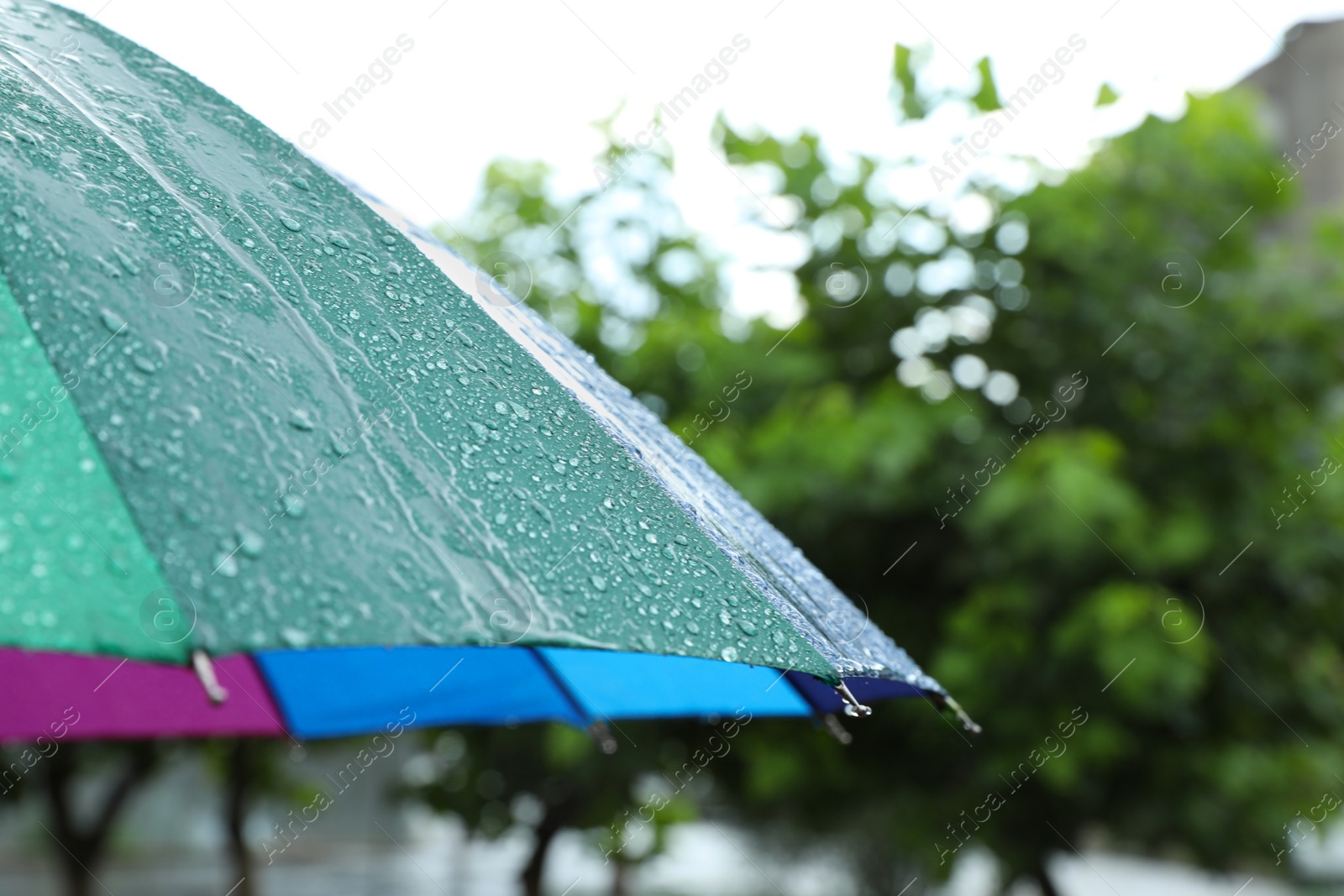 Photo of Colorful umbrella outdoors on rainy day, closeup