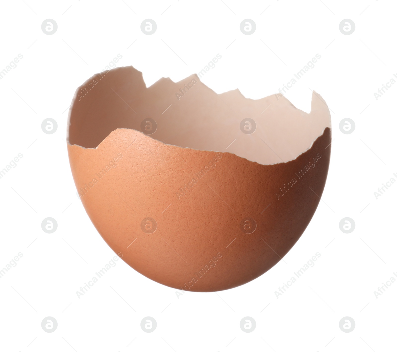 Photo of Shell of egg isolated on white background