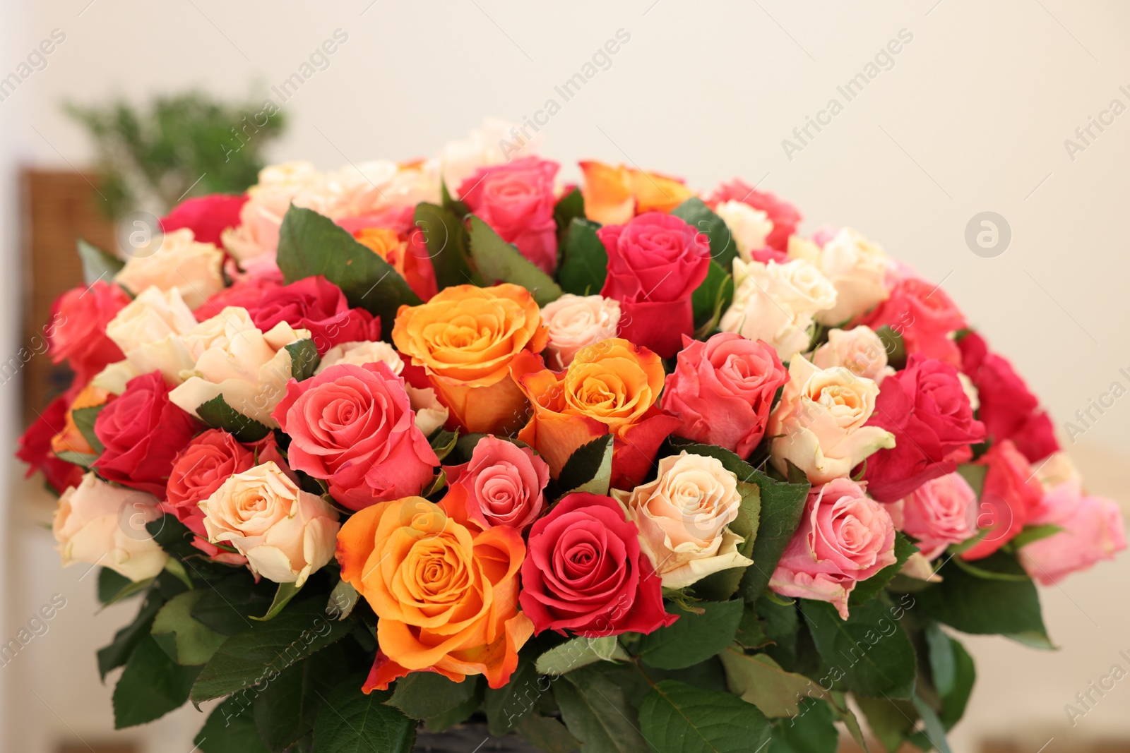 Photo of Bouquet of beautiful rose flowers on blurred background, closeup