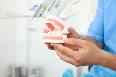 Photo of Professional dentist holding jaws model in clinic, closeup