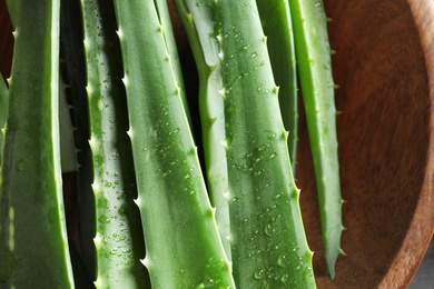 Photo of Fresh aloe vera leaves, closeup view