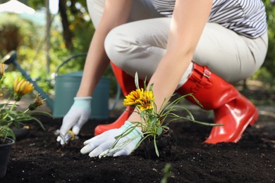 Photo of Woman planting flowers outdoors, closeup. Gardening time