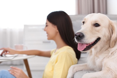 Photo of Young woman and her Golden Retriever dog in living room