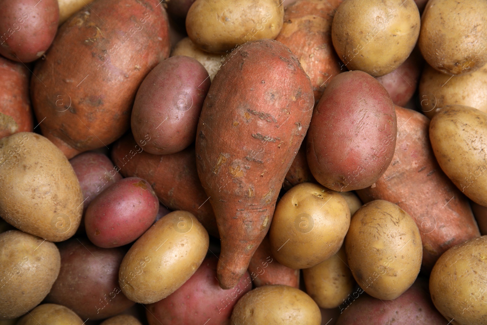 Photo of Different types of fresh potatoes as background, top view