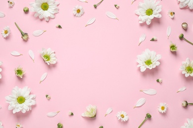 Flat lay composition with beautiful white chamomile flowers on pink background. Space for text