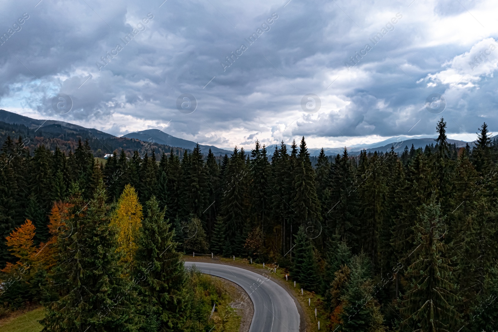 Image of Aerial view of beautiful forest and empty road on autumn day