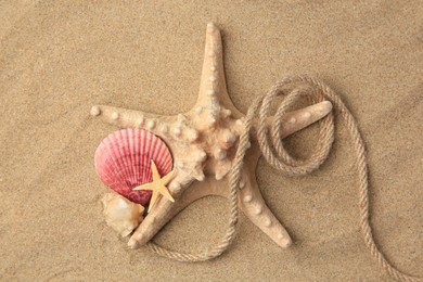 Photo of Beautiful starfishes, sea shells and rope on sand, flat lay