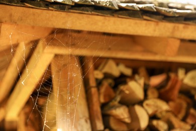 Cobweb on wooden building outdoors, closeup. Space for text