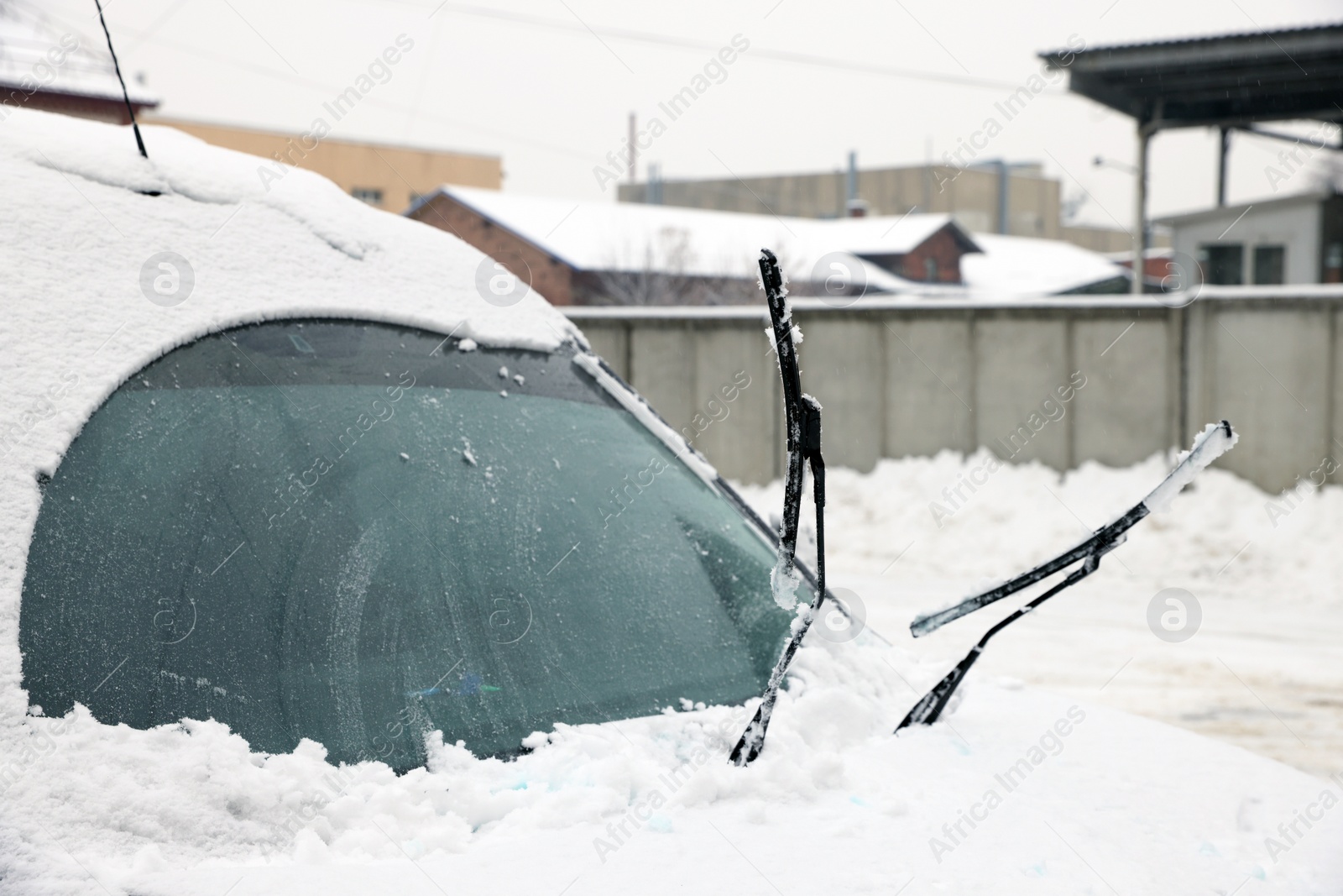 Photo of Car windshield with wiper blades cleaned from snow outdoors on winter day