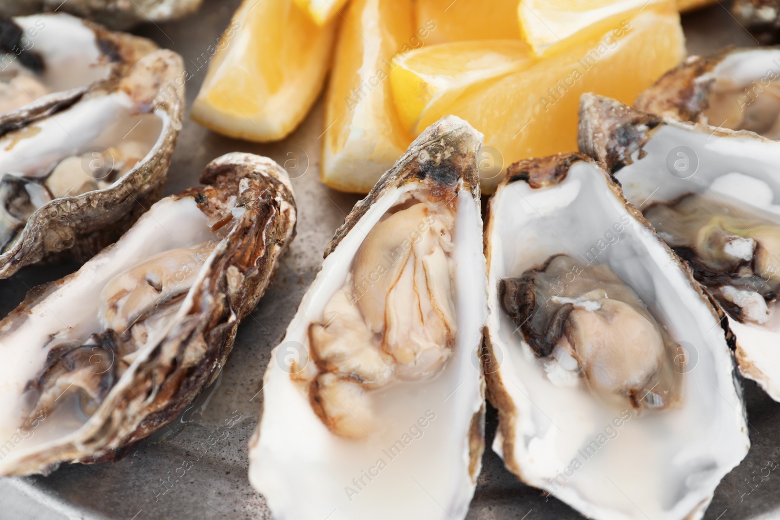 Photo of Fresh oysters with cut juicy lemon on plate, closeup