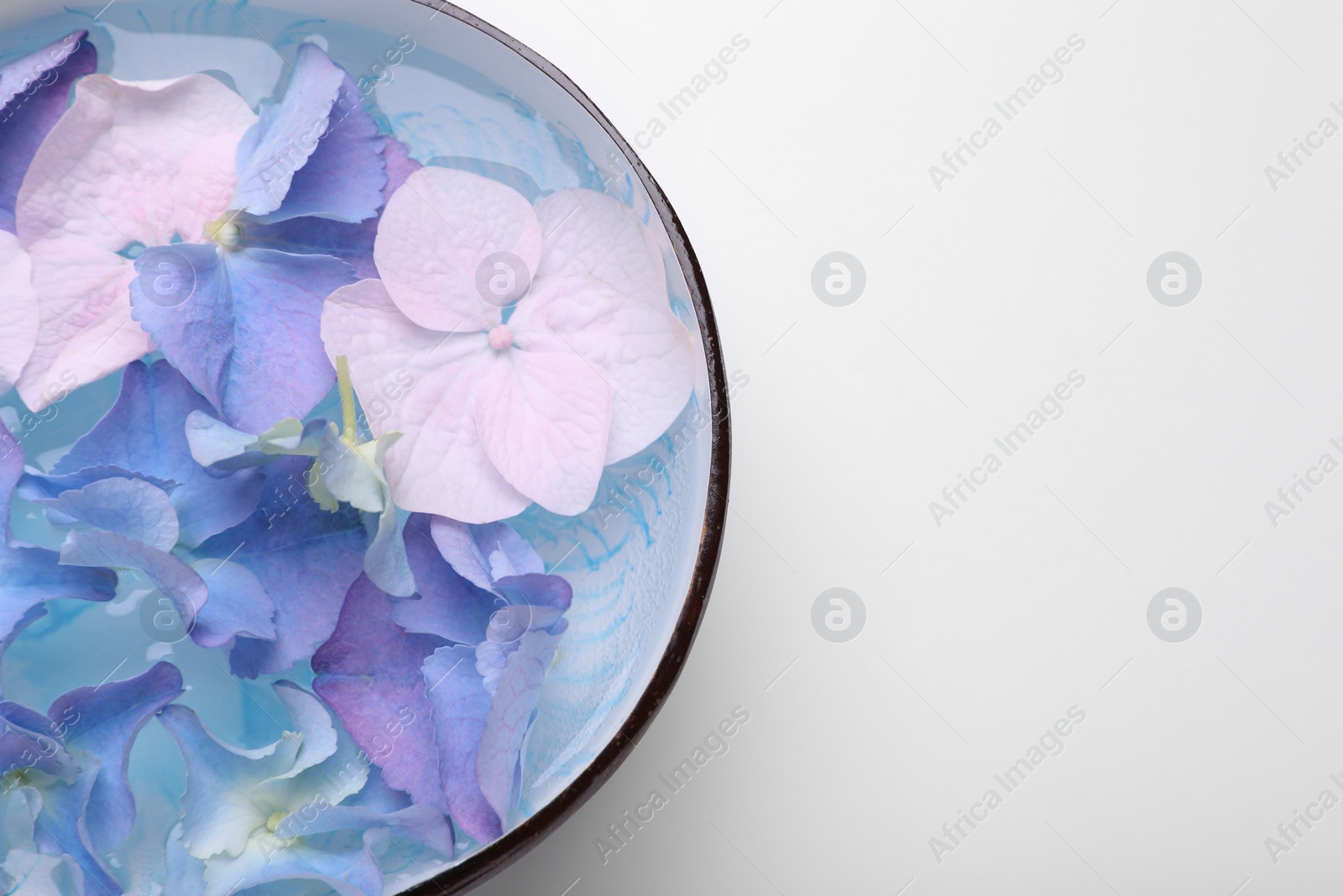 Photo of Spa composition. Aromatic water and flowers in bowl on white background, top view. Space for text