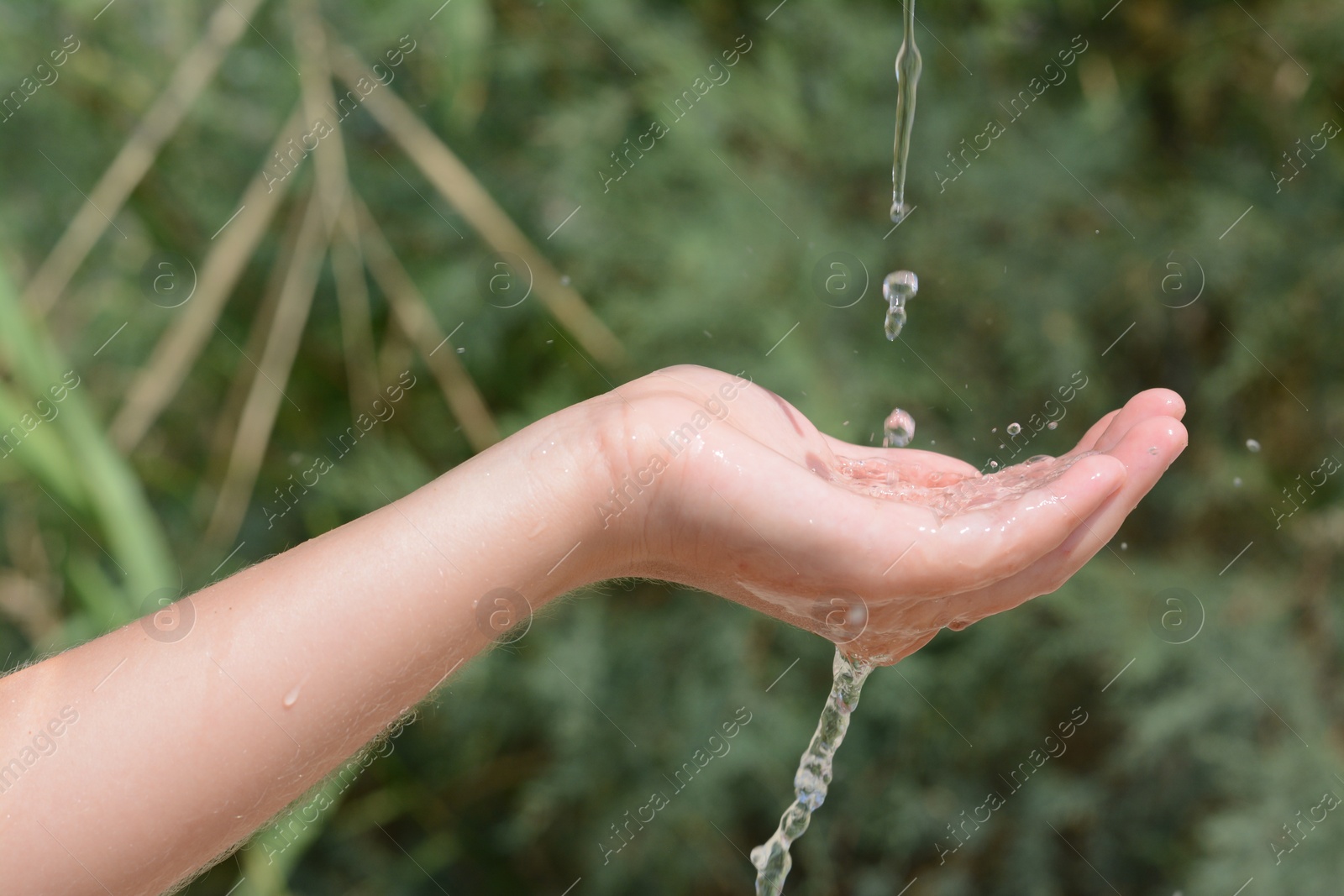 Photo of Pouring water into kid`s hand outdoors, closeup