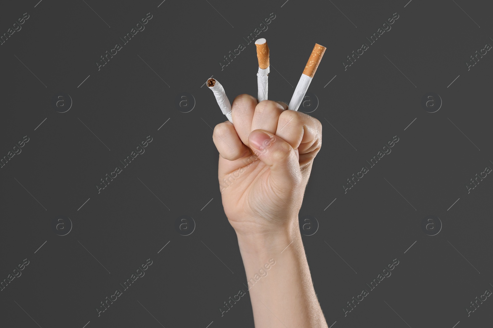 Photo of Stop smoking concept. Woman crushing cigarettes on gray background, closeup with space for text