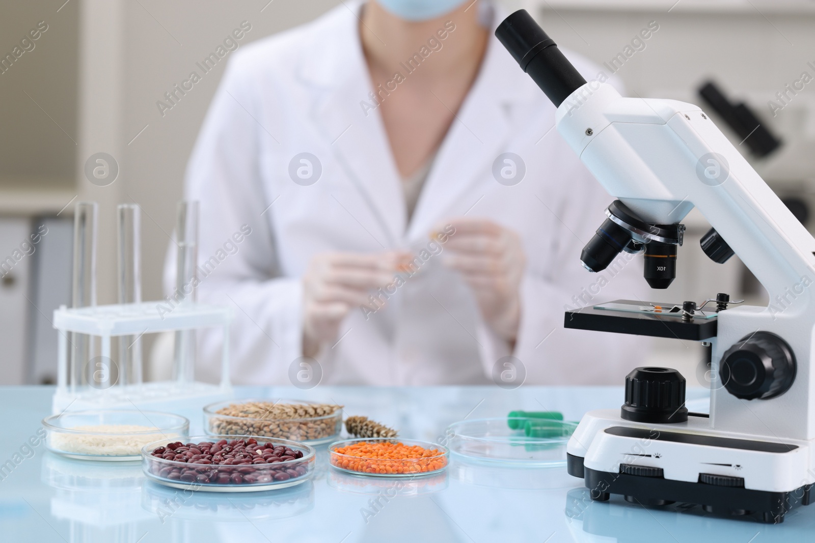 Photo of Quality control. Food inspector working in laboratory, focus on petri dishes with different products