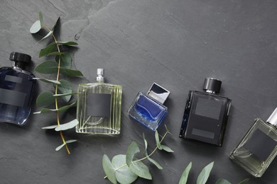 Photo of Luxury perfumes and eucalyptus branches on black table, flat lay. Floral fragrance