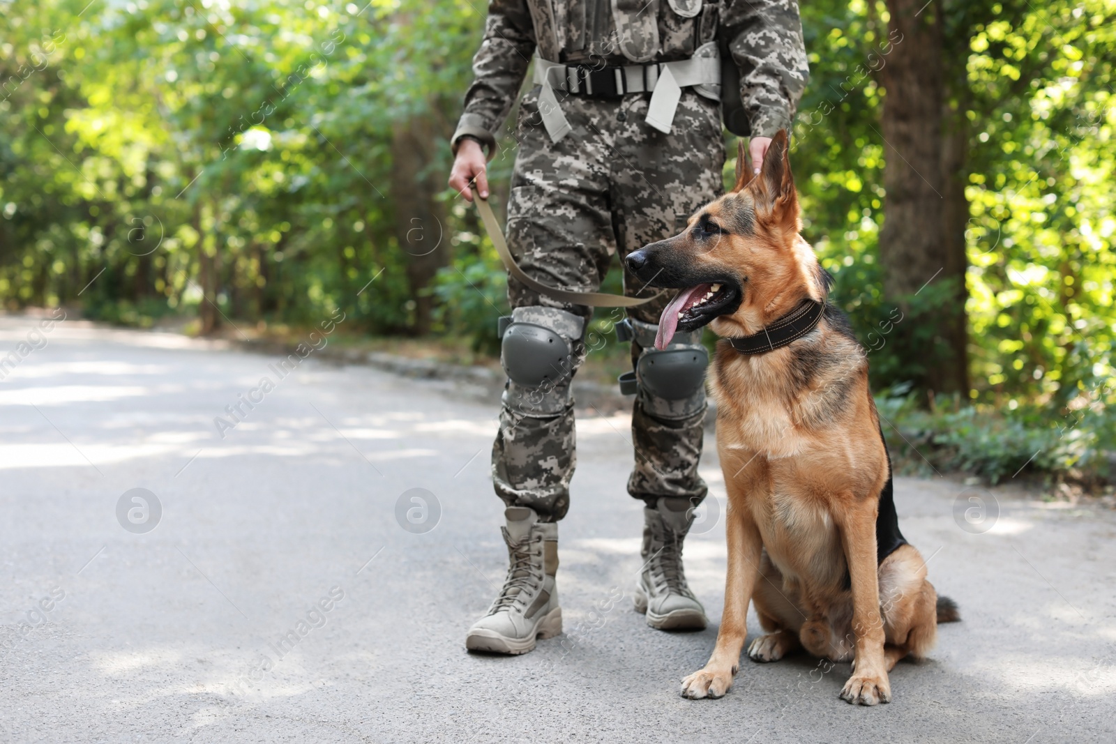 Photo of Man in military uniform with German shepherd dog outdoors