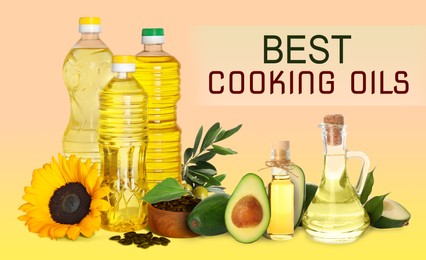 Image of Best for cooking. Different oils and ingredients on color background