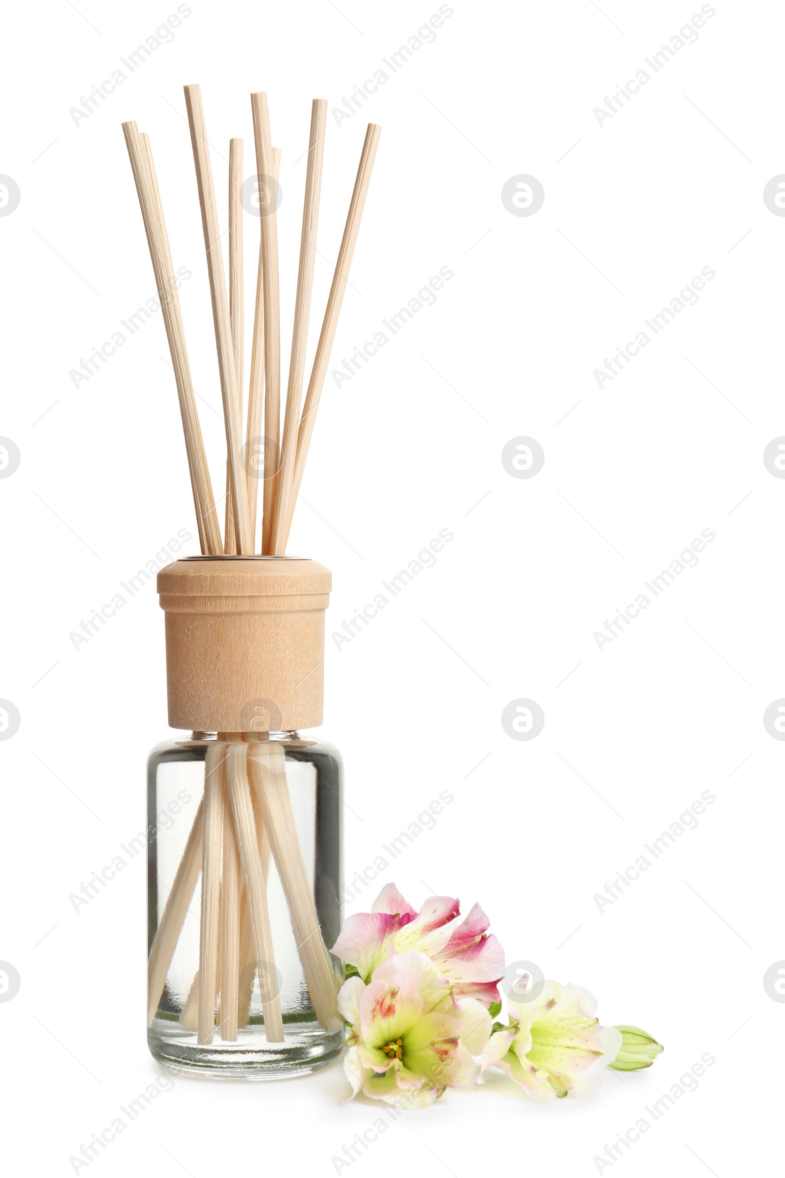 Photo of New reed air freshener and flowers on white background
