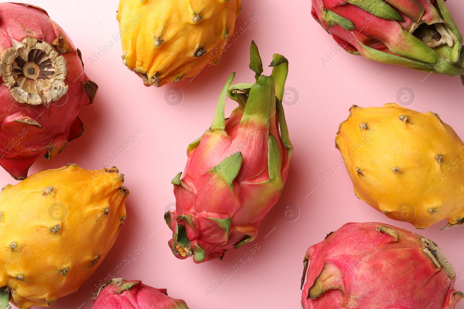 Photo of Different pitahaya fruits on light pink background, flat lay