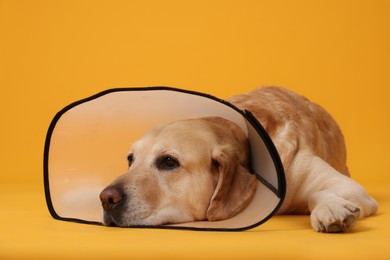 Photo of Sad Labrador Retriever with protective cone collar lying on orange background