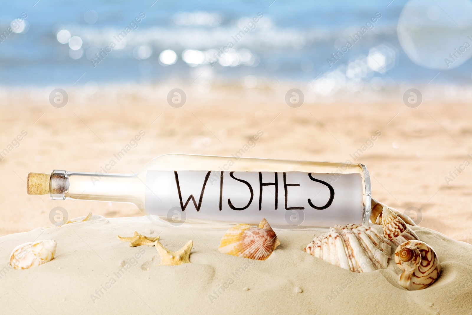 Image of Corked glass bottle with rolled paper note and seashells on sandy beach near ocean