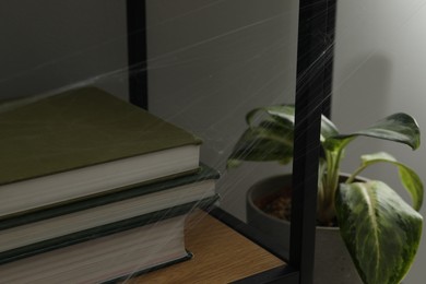 Photo of Cobweb and books on rack indoors, closeup