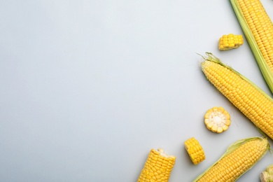 Flat lay composition with tasty sweet corn cobs on light background