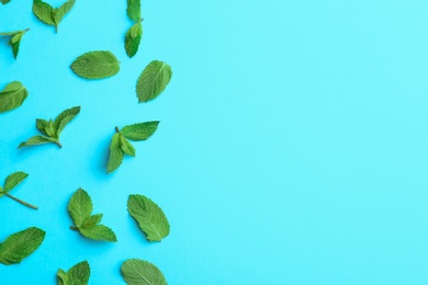 Photo of Fresh mint leaves on light blue background, flat lay. Space for text