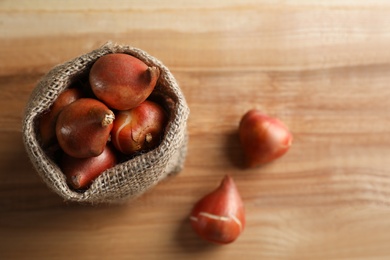 Sack with tulip bulbs on wooden table, top view. Space for text