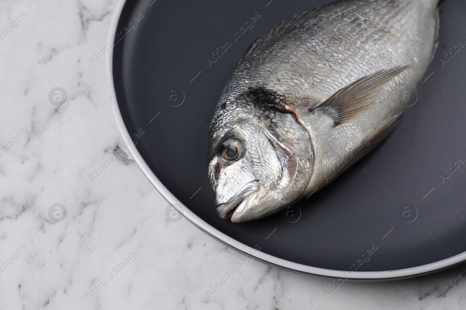 Photo of Fresh dorado fish on white marble table, closeup. Space for text