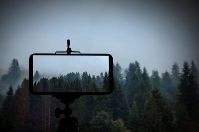 Taking photo of beautiful mountain forest in foggy morning with smartphone mounted on tripod