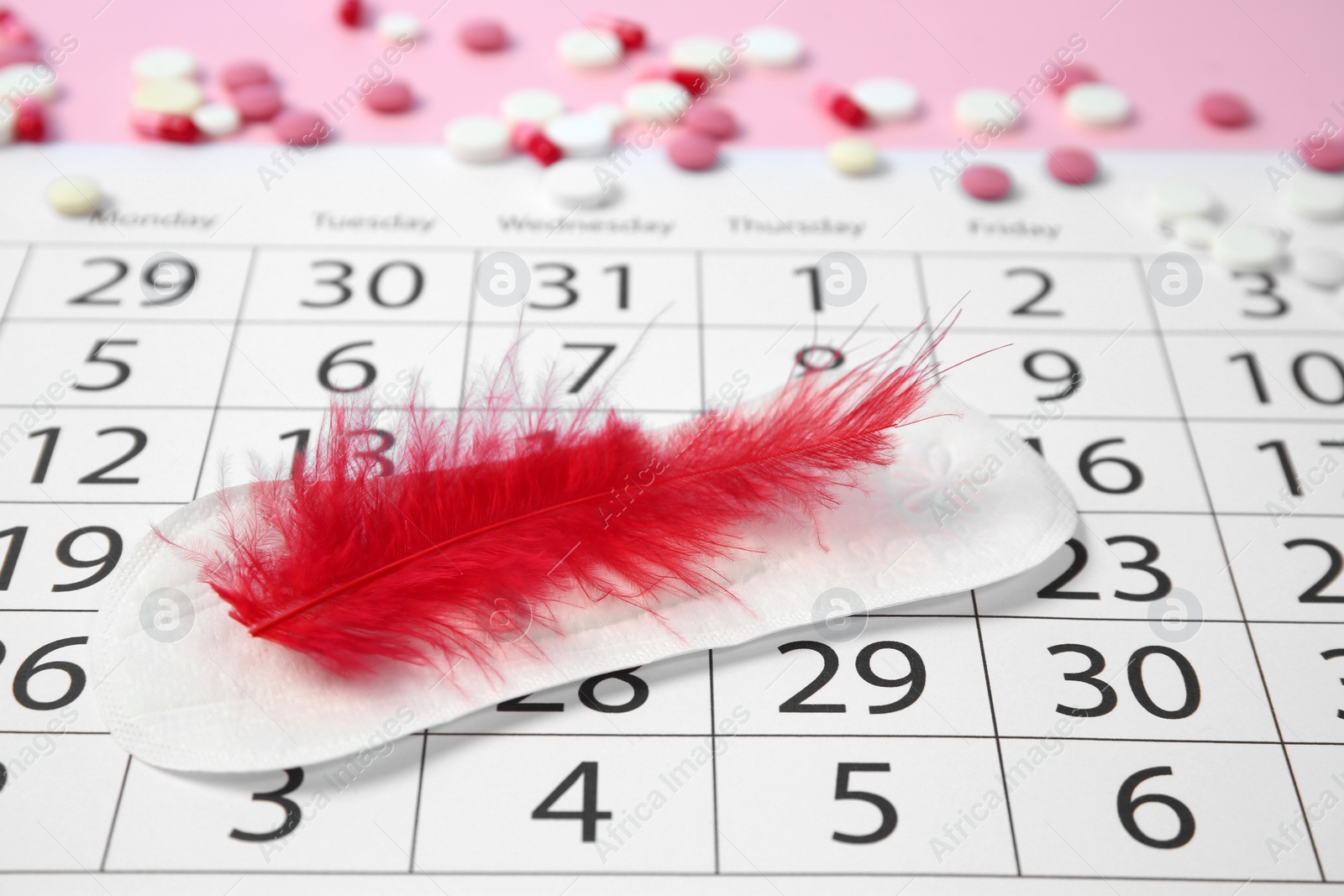 Photo of Composition with calendar, menstrual pad and feather. Gynecological checkup