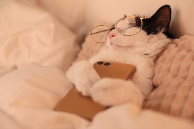 Photo of Cute cat with glasses and smartphone sleeping on bed at home
