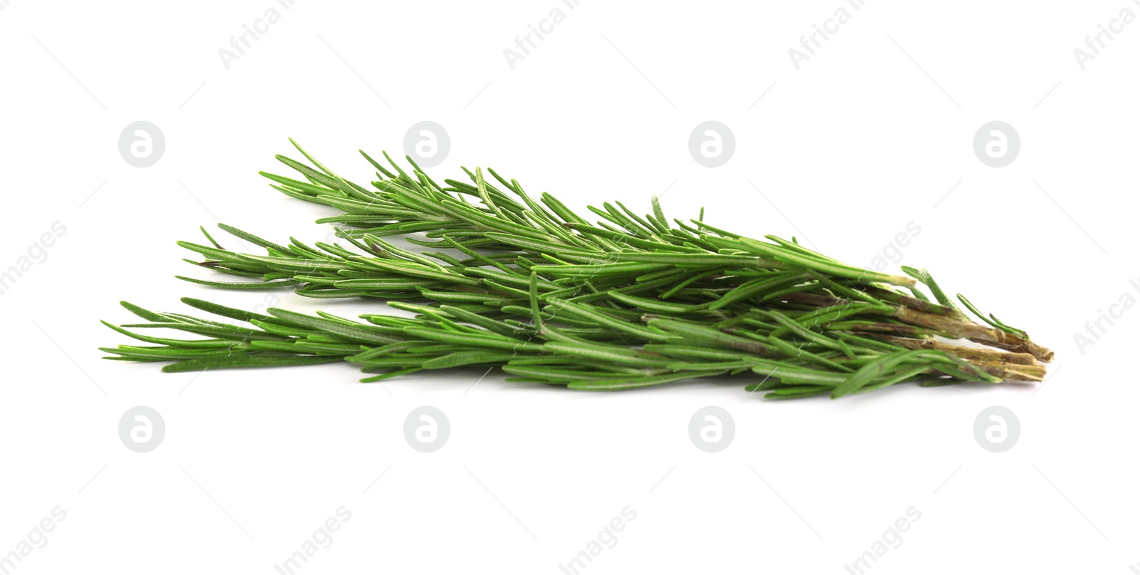 Photo of Fresh green rosemary isolated on white. Aromatic herb