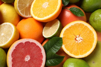 Different fresh citrus fruits and leaves as background, top view