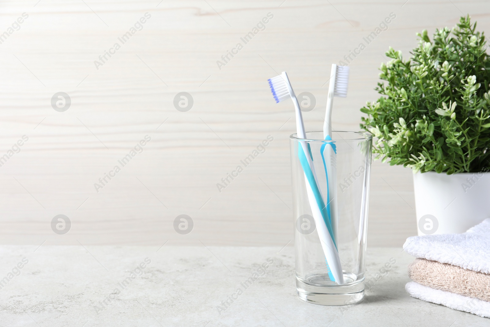 Photo of Plastic toothbrushes in glass holder, towels and plant on light grey table, space for text